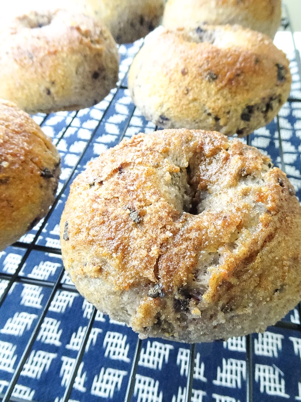 blueberry bagels