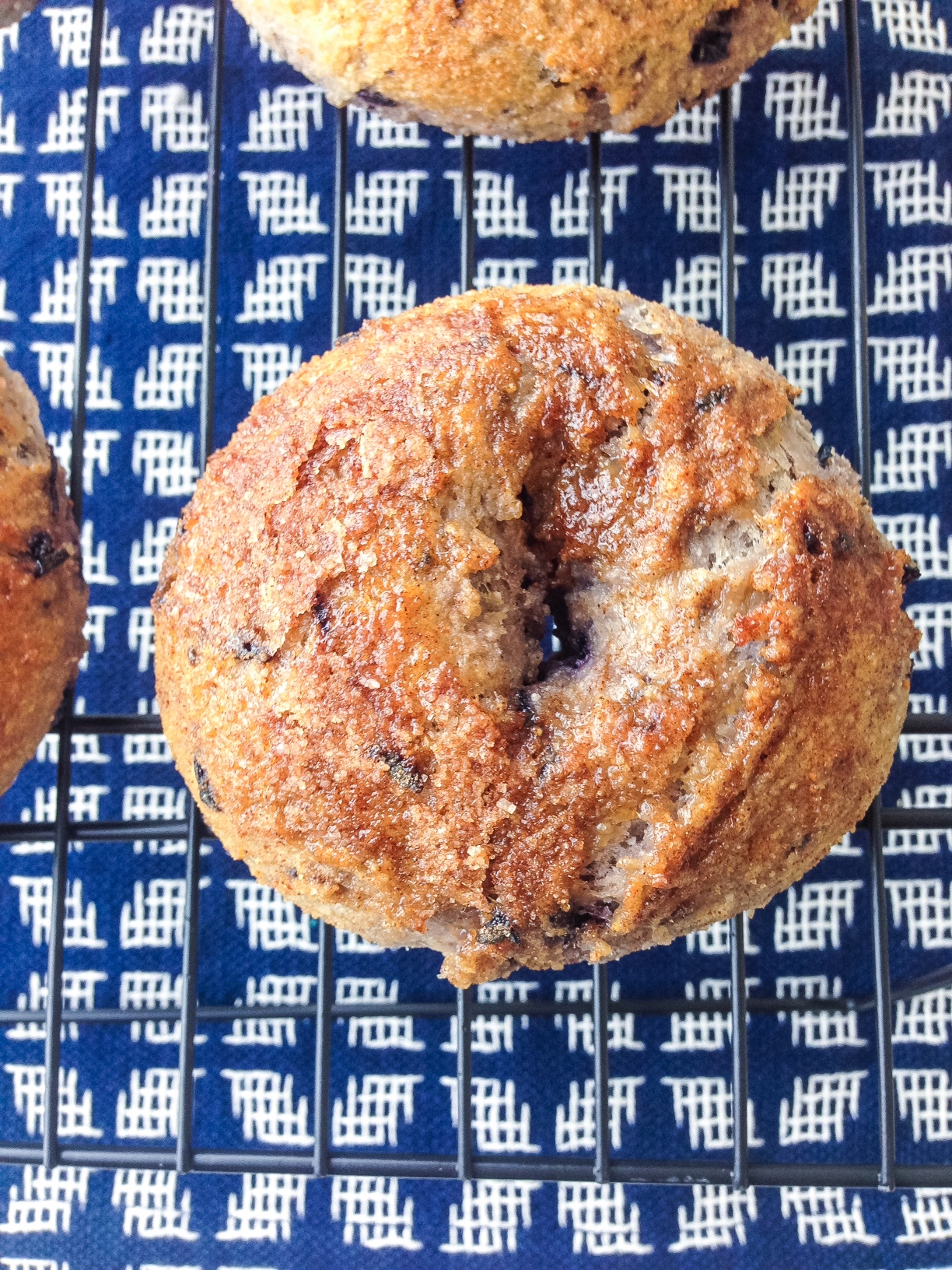 blueberry bagels