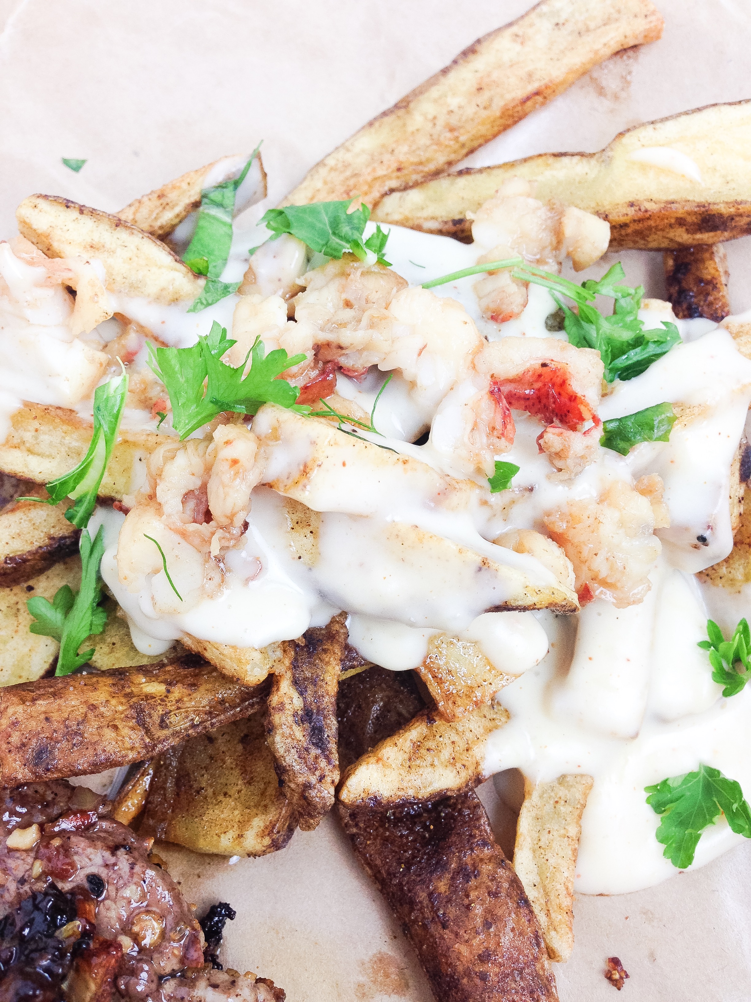 surf and turf fries